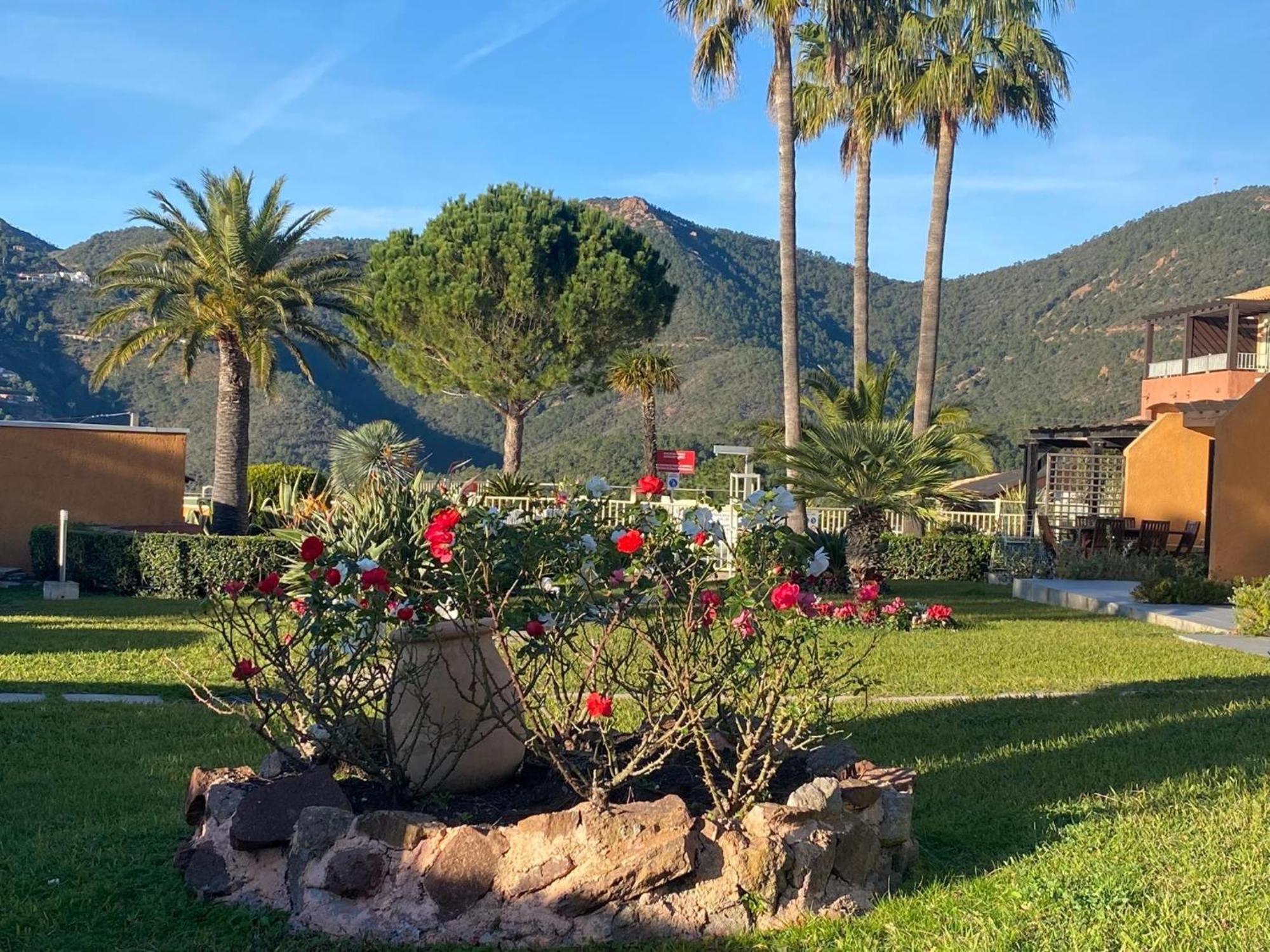 Vue Mer Et Jardin Theoule-sur-Mer Ngoại thất bức ảnh